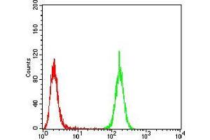 Flow cytometric analysis of A549 cells using EMD mouse mAb (green) and negative control (red). (Emerin anticorps  (AA 1-222))