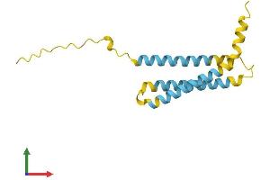 AlphaFold protein structure predicition of Human Recombinant NINJ2 Protein, UniprotID Q9NZG7