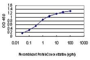 Detection limit for recombinant GST tagged KSR2 is approximately 0.