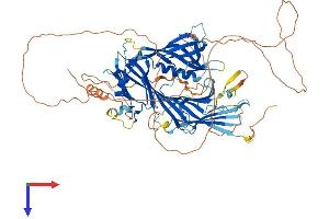 Stonin 1 (STON1) (AA 1-730) protein (His tag)