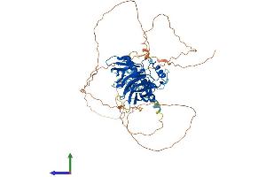 AlphaFold protein structure predicition of Mouse Recombinant Grhl2 Protein, UniprotID Q8K5C0