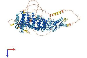 AlphaFold protein structure predicition of Mouse Recombinant Veph1 Protein, UniprotID A1A535