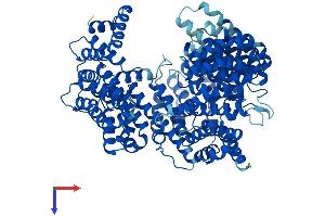AlphaFold protein structure predicition of Mouse Recombinant Kpnb1 Protein, UniprotID P70168