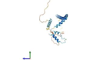 AlphaFold protein structure predicition of Mouse Recombinant Cltb Protein, UniprotID Q6IRU5