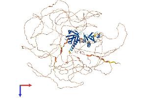 AlphaFold protein structure predicition of Mouse Recombinant Irs2 Protein, UniprotID P81122