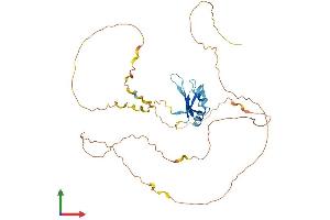 AlphaFold protein structure predicition of Human Recombinant RBMX Protein, UniprotID P38159