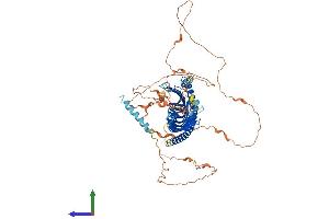 AlphaFold protein structure predicition of Human Recombinant JPH2 Protein, UniprotID Q9BR39