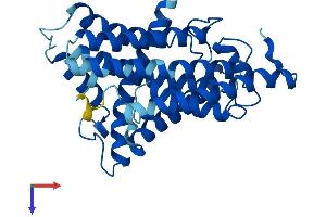 AlphaFold protein structure predicition of Human Recombinant MT-ND1 Protein, UniprotID P03886