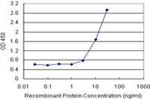 Sandwich ELISA detection sensitivity ranging from 1 ng/mL to 100 ng/mL. (MIF (Humain) Matched Antibody Pair)