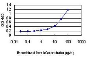 Detection limit for recombinant GST tagged AAAS is approximately 1ng/ml as a capture antibody.