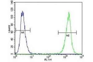 LCK antibody flow cytometric analysis of A2058 cells (green) compared to a negative control (blue).