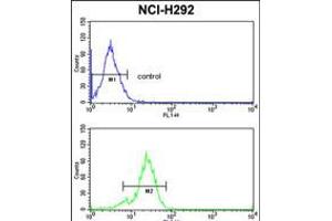 Flow cytometric analysis of NCI-H292 cells (bottom histogram) compared to a negative control cell (top histogram). (TDG anticorps  (N-Term))
