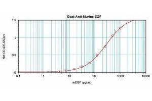 Image no. 1 for anti-Epidermal Growth Factor (EGF) antibody (ABIN465059) (EGF anticorps)