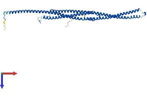 AlphaFold protein structure predicition of Human Recombinant TEKT1 Protein, UniprotID Q969V4