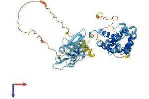 AlphaFold protein structure predicition of Mouse Recombinant Eif5 Protein, UniprotID P59325