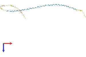 AlphaFold protein structure predicition of Mouse Recombinant Sprr1a Protein, UniprotID Q62266