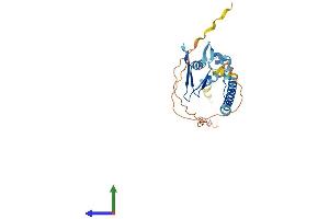 AlphaFold protein structure predicition of Human Recombinant E2F6 Protein, UniprotID O75461