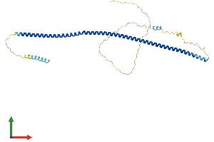 AlphaFold protein structure predicition of Mouse Recombinant Dtnbp1 Protein, UniprotID Q91WZ8