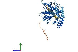 AlphaFold protein structure predicition of Human Recombinant GDAP1 Protein, UniprotID Q8TB36