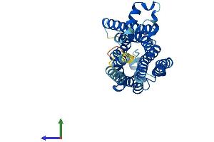 AlphaFold protein structure predicition of Mouse Recombinant Taar1 Protein, UniprotID Q923Y8