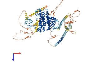 AlphaFold protein structure predicition of Mouse Recombinant Arhgef2 Protein, UniprotID Q60875