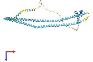 AlphaFold protein structure predicition of Mouse Recombinant Rnf26 Protein, UniprotID Q8BUH7