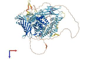 AlphaFold protein structure predicition of Human Recombinant TAF2 Protein, UniprotID Q6P1X5