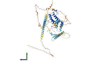 AlphaFold protein structure predicition of Mouse Recombinant Brd9 Protein, UniprotID Q3UQU0