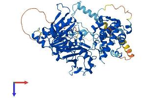 AlphaFold protein structure predicition of Human Recombinant UBA2 Protein, UniprotID Q9UBT2