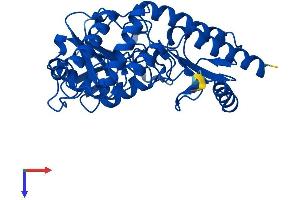 AlphaFold protein structure predicition of Human Recombinant PSAT1 Protein, UniprotID Q9Y617