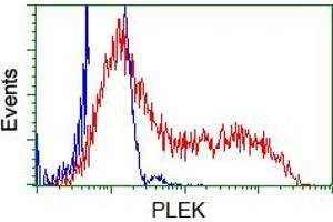 HEK293T cells transfected with either pCMV6-ENTRY PLEK (RC203780) (Red) or empty vector control plasmid (Blue) were immunostained with anti-PLEK mouse monoclonal (ABIN2453485), and then analyzed by flow cytometry. (Pleckstrin anticorps)