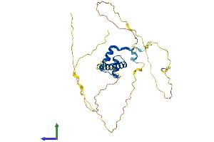 AlphaFold protein structure predicition of Human Recombinant MSX1 Protein, UniprotID P28360