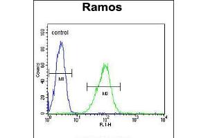 Flow cytometric analysis of Ramos cells (right histogram) compared to a negative control cell (left histogram).