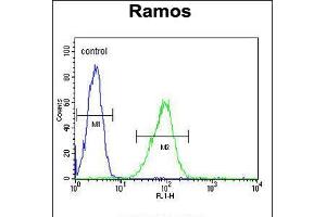 Flow cytometric analysis of Ramos cells (right histogram) compared to a negative control cell (left histogram). (HIP1 anticorps  (N-Term))