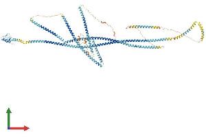 AlphaFold protein structure predicition of Human Recombinant RNF20 Protein, UniprotID Q5VTR2
