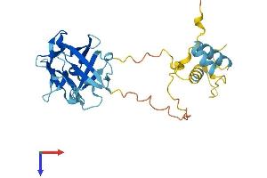 AlphaFold protein structure predicition of Mouse Recombinant Frg1 Protein, UniprotID P97376