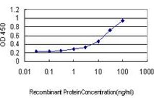 Detection limit for recombinant GST tagged MAZ is approximately 0.
