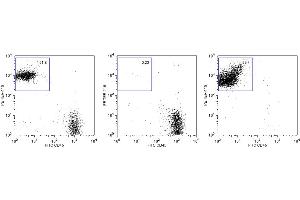 Flow Cytometry (FACS) image for Anti-Mouse Ter-119 Magnetic Particles (ABIN1305245) (Anti-Souris Ter-119 Magnetic Particles)