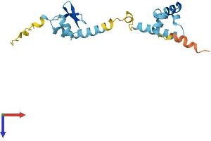 AlphaFold protein structure predicition of Mouse Recombinant Cggbp1 Protein, UniprotID Q8BHG9