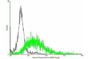 FACS analysis of negative control 293 cells (Black) and ROM1 expressing 293 cells (Green) using ROM1 purified MaxPab mouse polyclonal antibody.