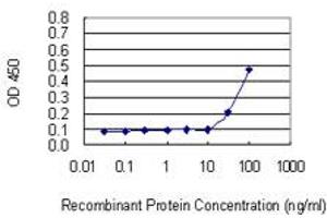 Detection limit for recombinant GST tagged C11orf17 is 3 ng/ml as a capture antibody. (AKIP1 anticorps  (AA 111-210))
