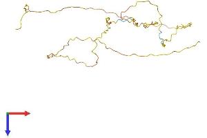 AlphaFold protein structure predicition of Mouse Recombinant Mdfi Protein, UniprotID P70331