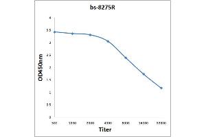 anti-G Protein Regulated Inducer of Neurite Outgrowth 1 (GPRIN1) (AA 101-200) antibody