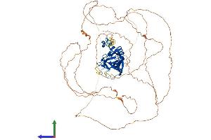 AlphaFold protein structure predicition of Mouse Recombinant Eomes Protein, UniprotID O54839