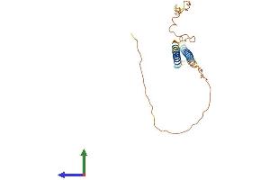 AlphaFold protein structure predicition of Mouse Recombinant Nrsn2 Protein, UniprotID Q5HZK2