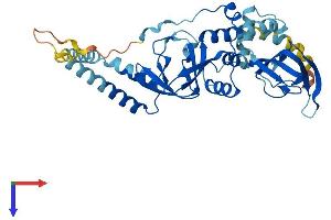 AlphaFold protein structure predicition of Human Recombinant PRKAR1A Protein, UniprotID P10644