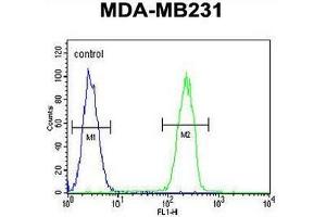 CASP5 Antibody (Center) flow cytometric analysis of MDA-MB231 cells (right histogram) compared to a negative control cell (left histogram).