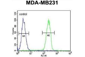 CASP5 Antibody (Center) flow cytometric analysis of MDA-MB231 cells (right histogram) compared to a negative control cell (left histogram).