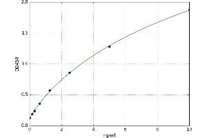 A typical standard curve