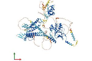 AlphaFold protein structure predicition of Mouse Recombinant Kcnh5 Protein, UniprotID Q920E3